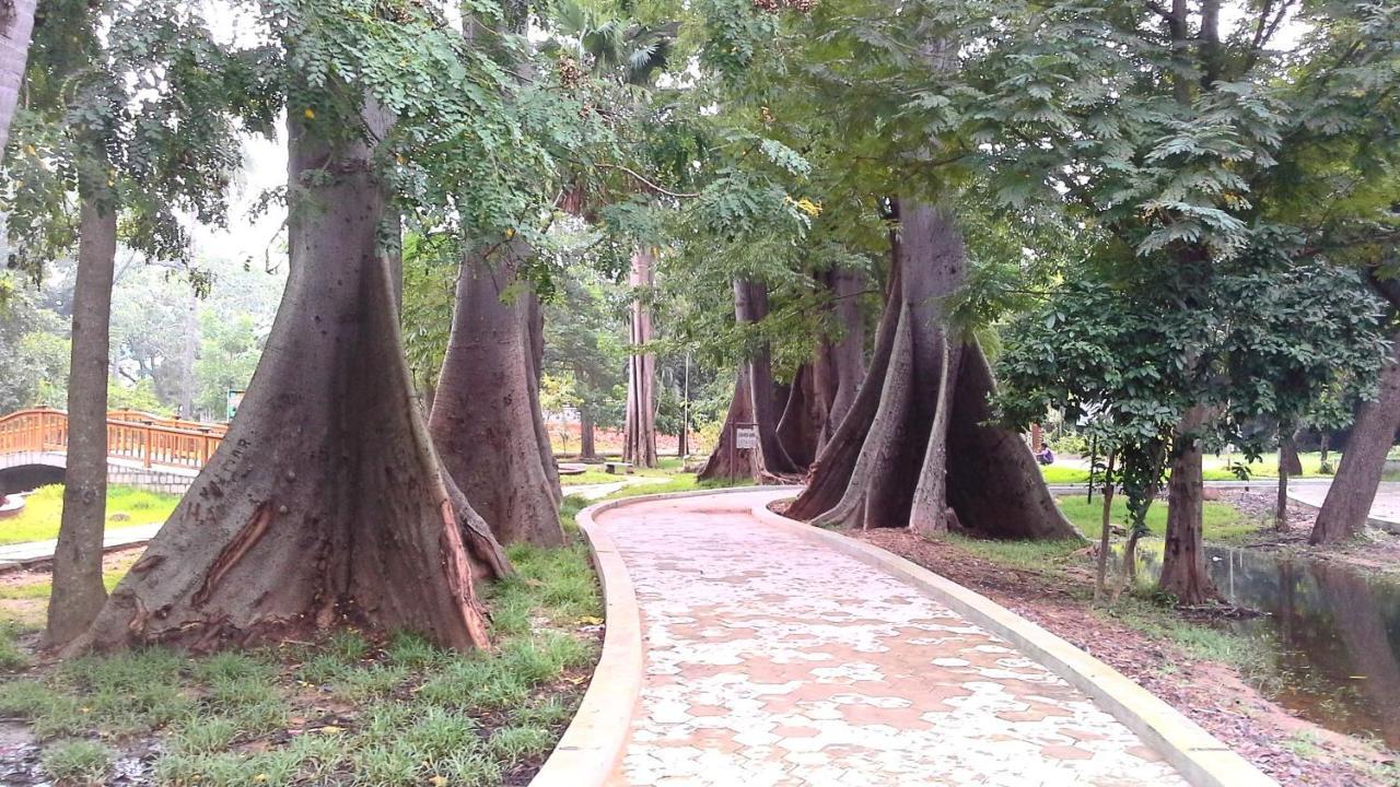 Patricia Guest House Puducherry Buitenkant foto