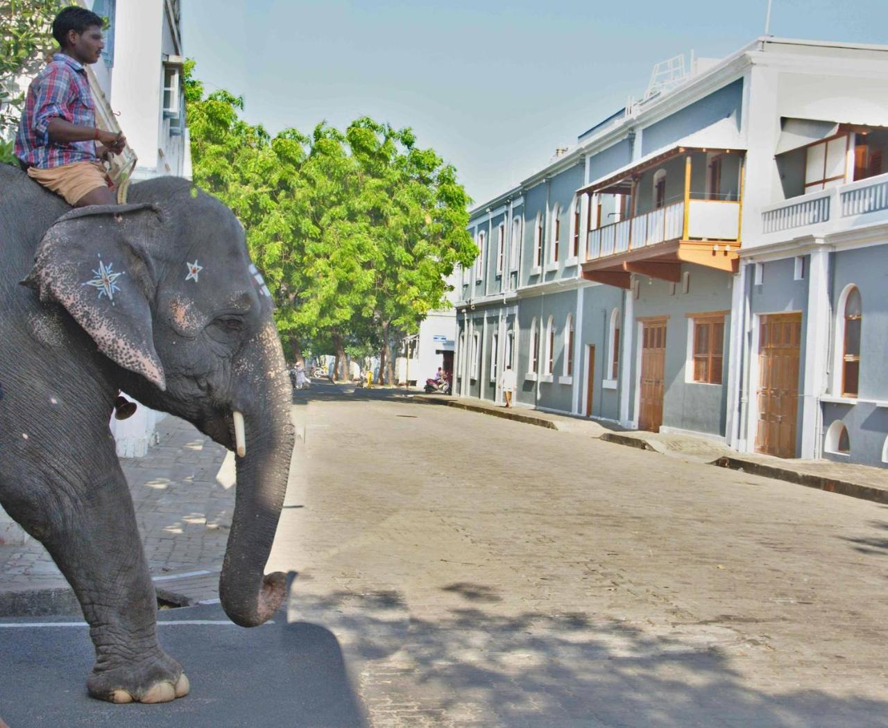 Patricia Guest House Puducherry Buitenkant foto